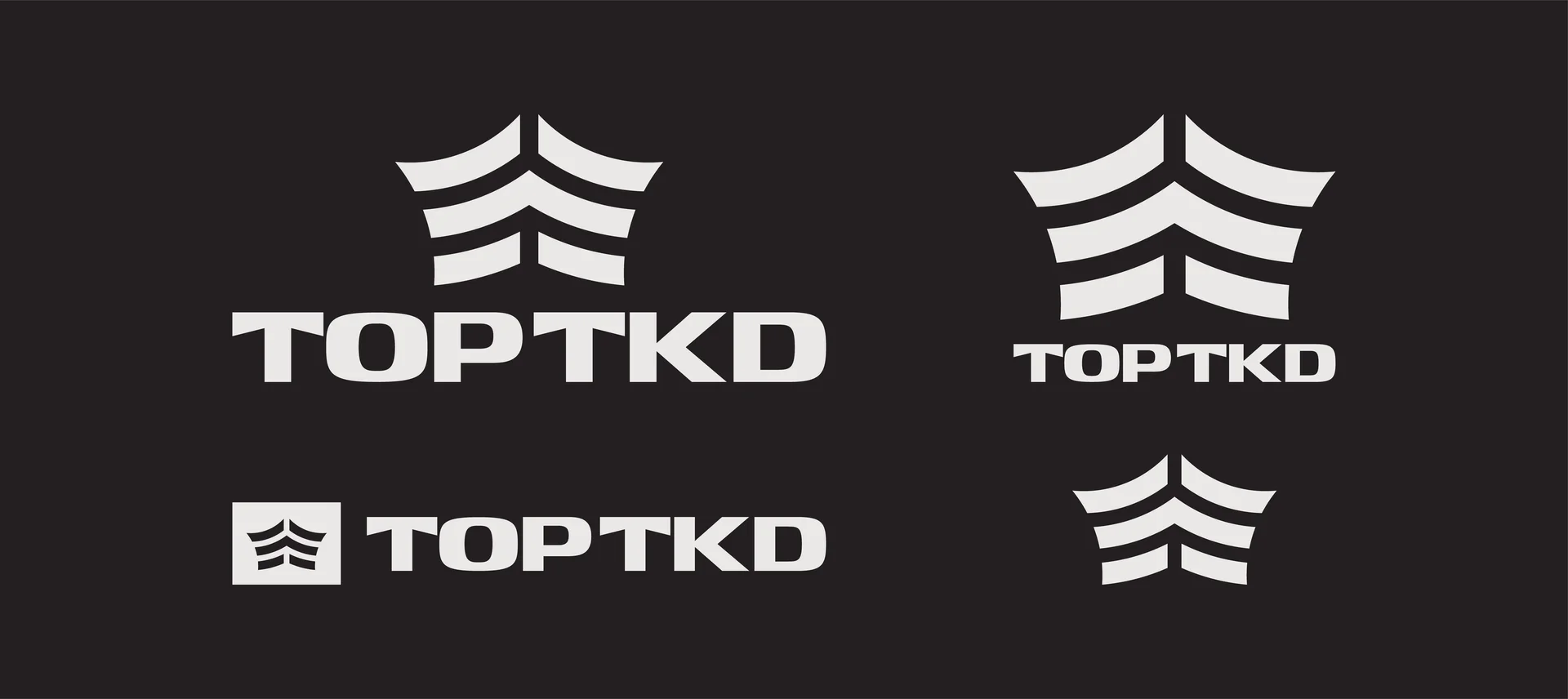 TOPTKD project image 4